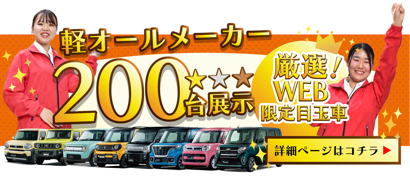 WEB限定目玉車厳選！