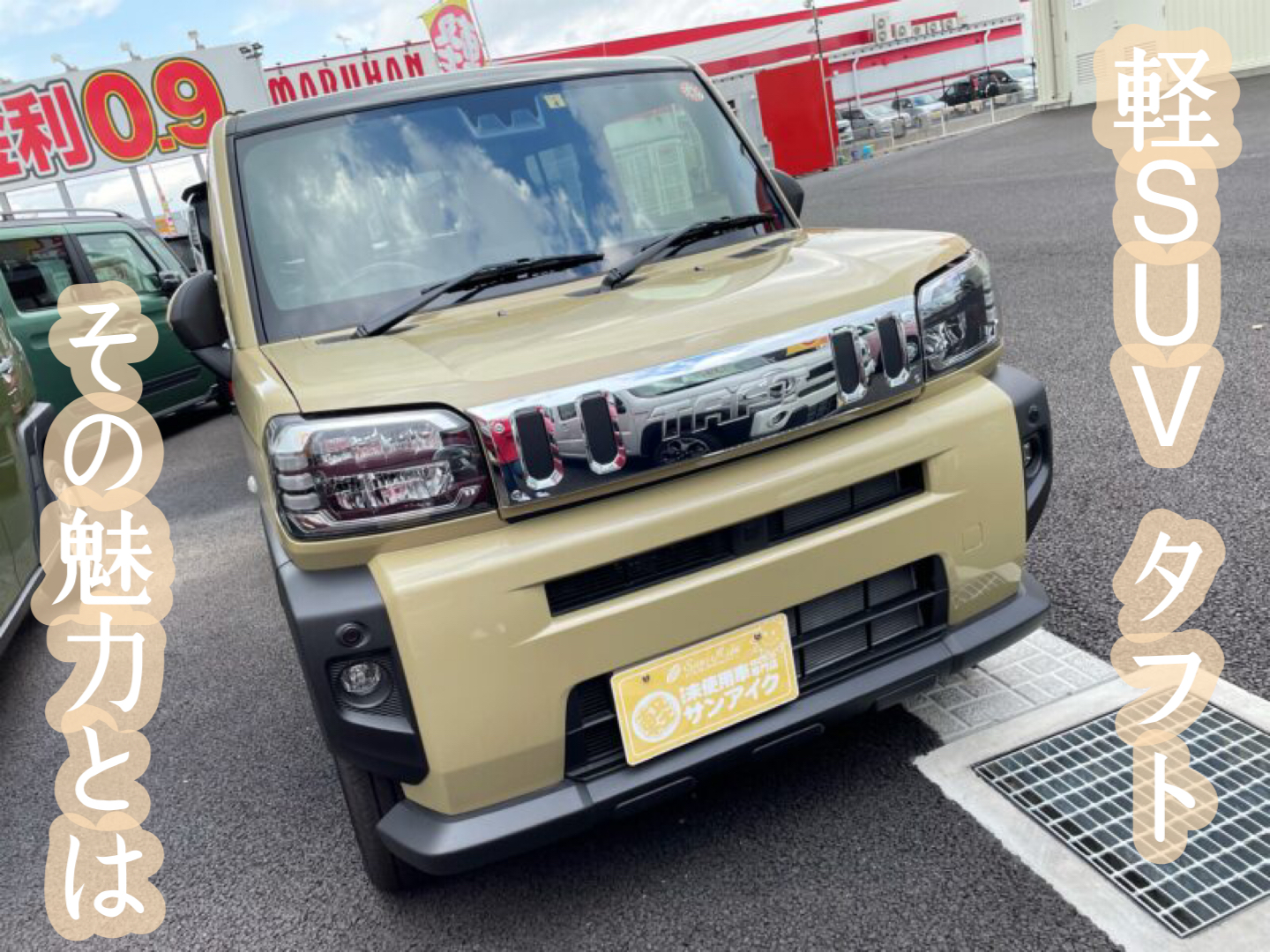 タフト　サンアイク　未使用車